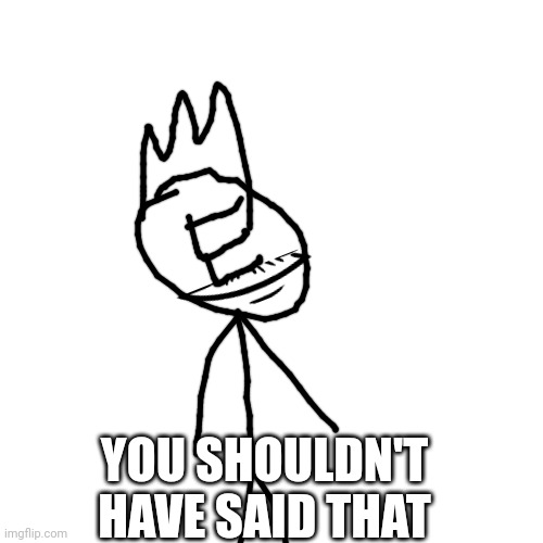 Blank Transparent Square Meme | YOU SHOULDN'T HAVE SAID THAT | image tagged in memes,blank transparent square | made w/ Imgflip meme maker