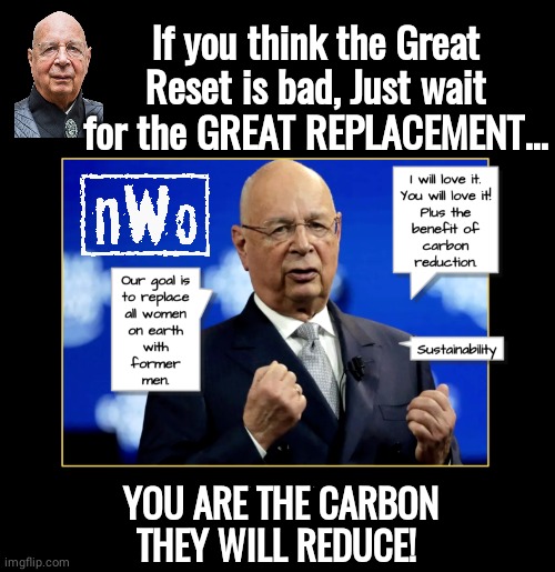 Klaus Schwab Trans Women Great REPLACEMENT | If you think the Great Reset is bad, Just wait for the GREAT REPLACEMENT... YOU ARE THE CARBON THEY WILL REDUCE! | image tagged in black box | made w/ Imgflip meme maker