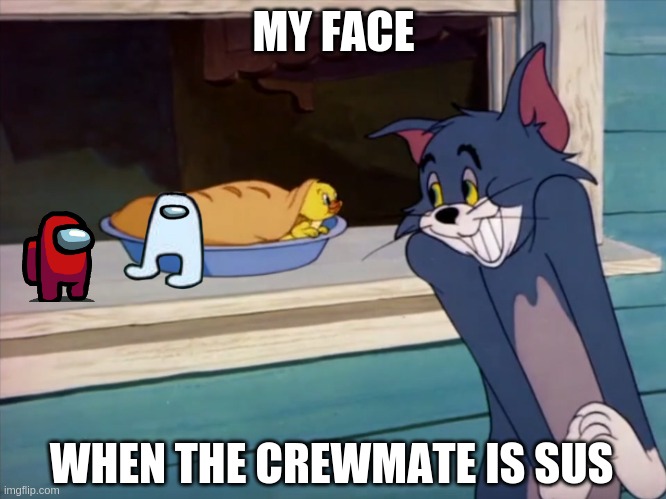 Is Tom Sus? | MY FACE; WHEN THE CREWMATE IS SUS | image tagged in tom and jerry tom smiling,tom and jerry,among us,sus,amogus | made w/ Imgflip meme maker