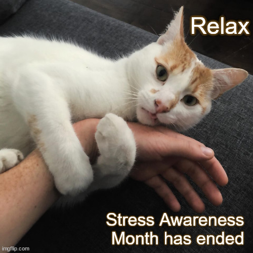 The end of Stress Awareness Month |  Relax; Stress Awareness 
Month has ended | image tagged in cat on wrist,anxiety,stress,sympathy,understanding,month | made w/ Imgflip meme maker