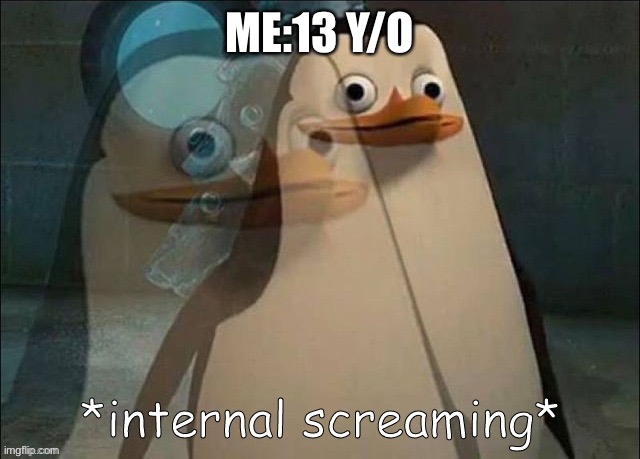 Private Internal Screaming | ME:13 Y/O | image tagged in private internal screaming | made w/ Imgflip meme maker