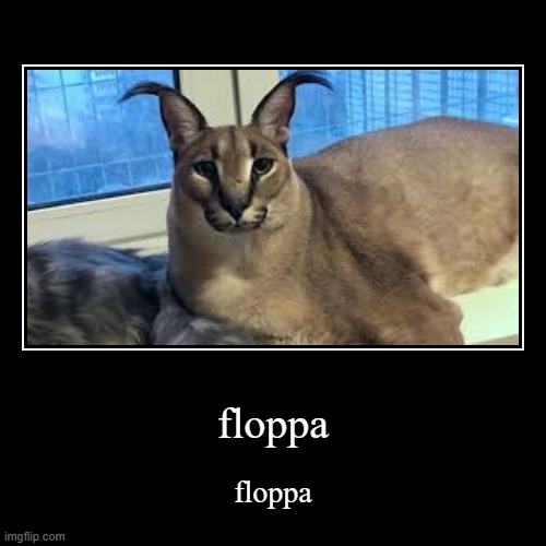 floppa | image tagged in funny,demotivationals | made w/ Imgflip demotivational maker