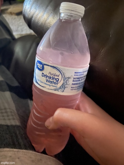 Mm i sure do love deagonfruit flavored water | made w/ Imgflip meme maker