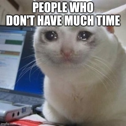Crying cat | PEOPLE WHO DON'T HAVE MUCH TIME | image tagged in crying cat | made w/ Imgflip meme maker