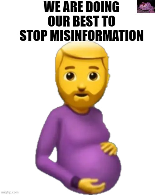 The same people who tell you a man can get pregnant want to stop misinformation |  WE ARE DOING OUR BEST TO STOP MISINFORMATION | image tagged in pregnant man | made w/ Imgflip meme maker