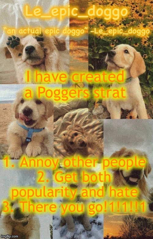 Doggo temp by doggo. Wait what that’s confusing | I have created a Poggers strat; 1. Annoy other people
2. Get both popularity and hate
3. There you go!1!1!!1 | image tagged in doggo temp by doggo wait what that s confusing | made w/ Imgflip meme maker