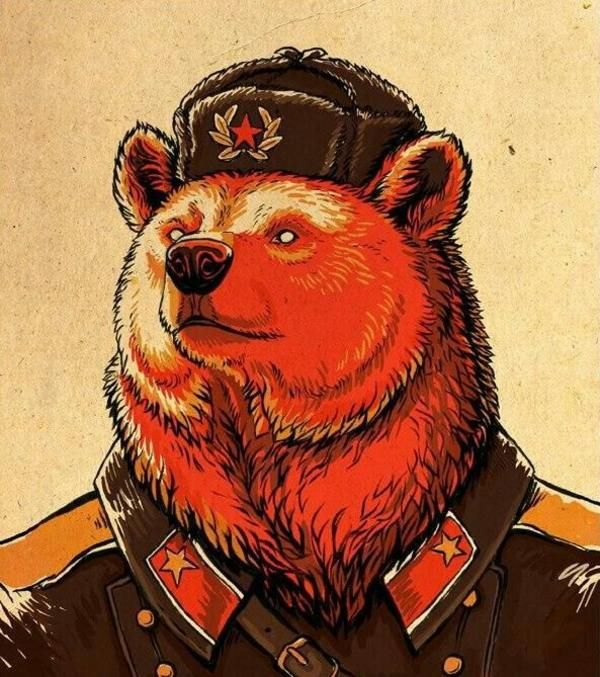 bear of his country Blank Meme Template