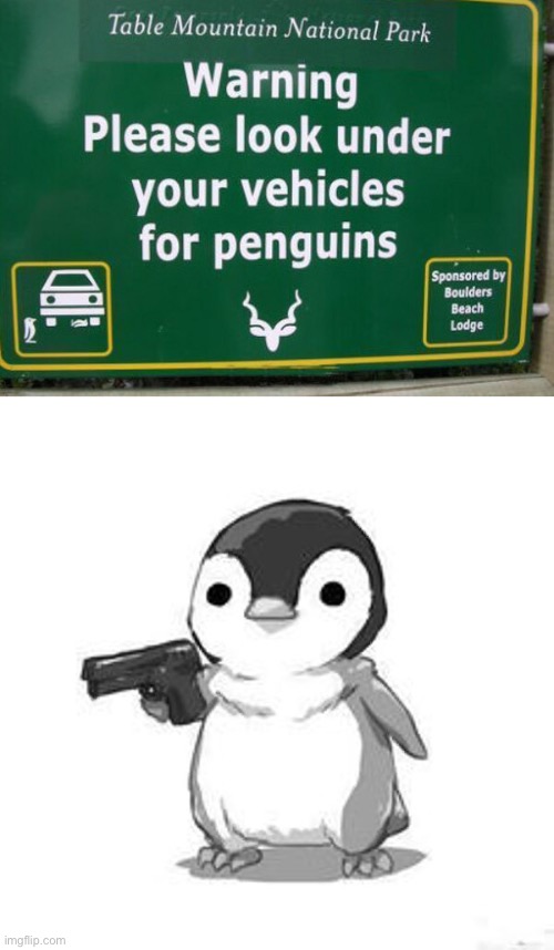 Watch out for penguins | image tagged in penguin holding gun,penguins,funny signs | made w/ Imgflip meme maker