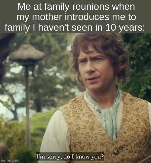 Family | Me at family reunions when my mother introduces me to family I haven't seen in 10 years: | image tagged in the hobbit,lotr | made w/ Imgflip meme maker