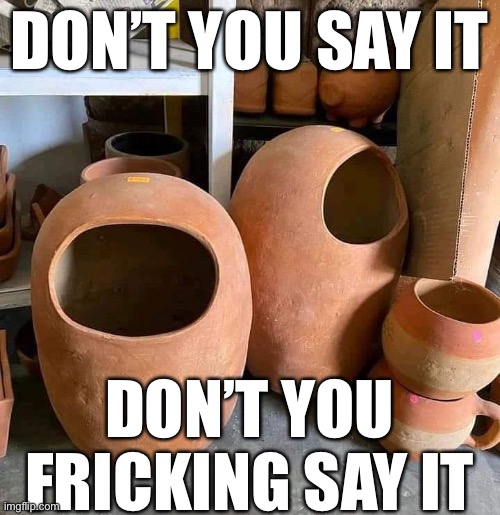 DONT SAY IT | DON’T YOU SAY IT; DON’T YOU FRICKING SAY IT | made w/ Imgflip meme maker