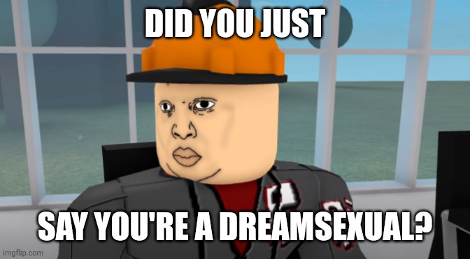 Bruh | DID YOU JUST; SAY YOU'RE A DREAMSEXUAL? | image tagged in bruh | made w/ Imgflip meme maker