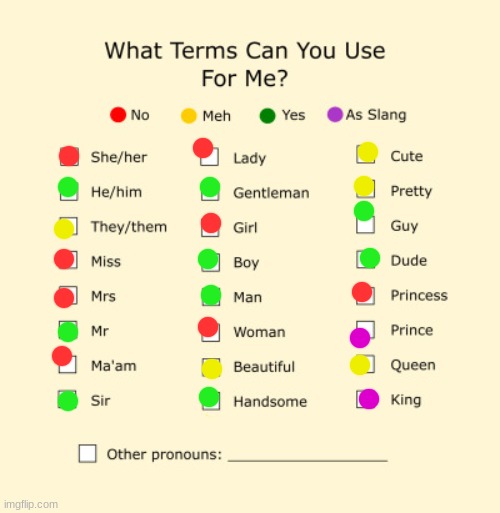 Pronouns Sheet | image tagged in pronouns sheet | made w/ Imgflip meme maker