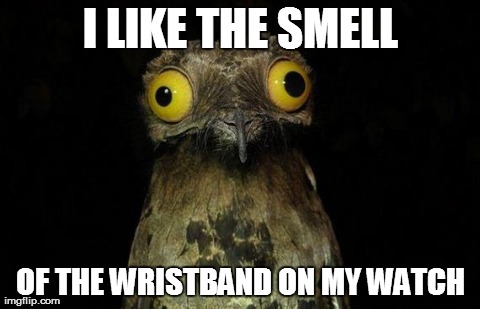 I LIKE THE SMELL OF THE WRISTBAND ON MY WATCH | image tagged in AdviceAnimals | made w/ Imgflip meme maker