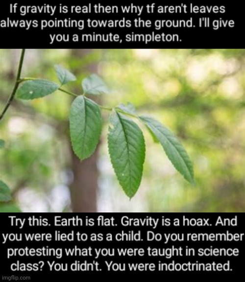 Simpletons | image tagged in flat earth | made w/ Imgflip meme maker