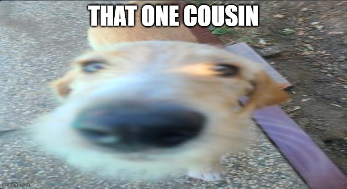 ollie | THAT ONE COUSIN | image tagged in funny,memes,relatable | made w/ Imgflip meme maker