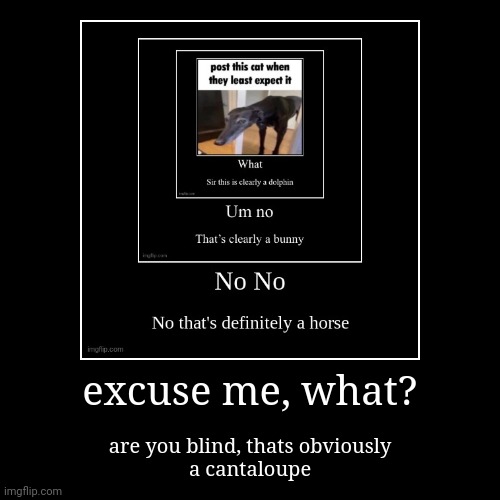 smh, idk what you're talking about, its a cantaloupe. | image tagged in funny,demotivationals | made w/ Imgflip demotivational maker