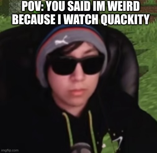 wackity | POV: YOU SAID IM WEIRD BECAUSE I WATCH QUACKITY | image tagged in quackity unfunny,quackity,dreamsmp,dream | made w/ Imgflip meme maker