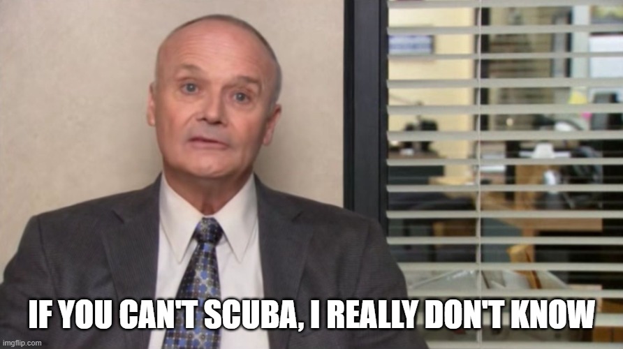 Creed The Office | IF YOU CAN'T SCUBA, I REALLY DON'T KNOW | image tagged in creed the office | made w/ Imgflip meme maker