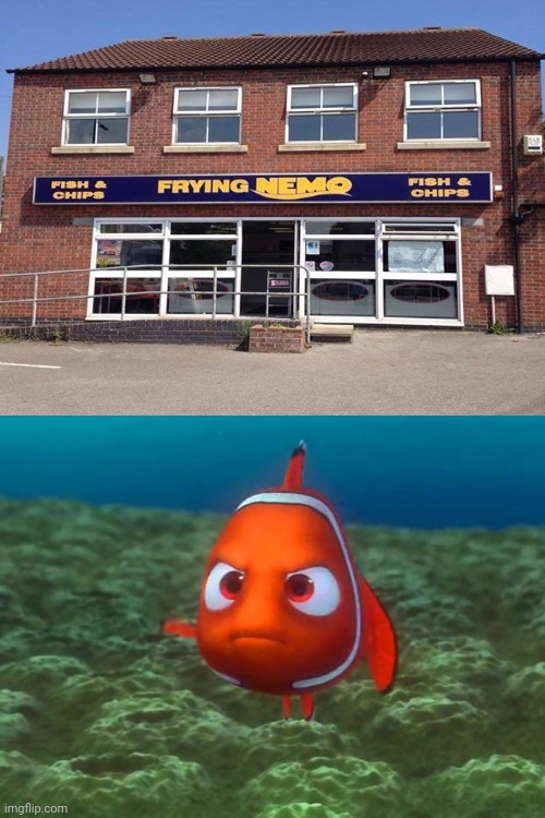 Frying Nemo | image tagged in nemo,reposts,repost,frying nemo,finding nemo,memes | made w/ Imgflip meme maker