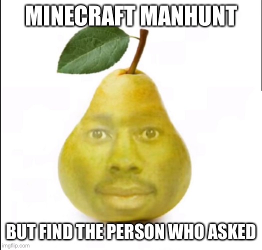 Tyler the creator | MINECRAFT MANHUNT; BUT FIND THE PERSON WHO ASKED | image tagged in tyler the creator | made w/ Imgflip meme maker