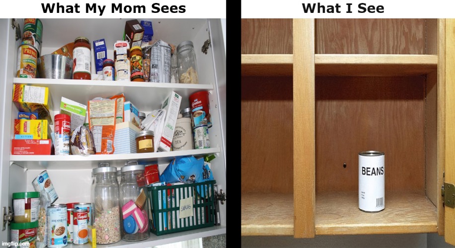 What My Mom Sees Vs What I See | image tagged in food,relatable,relatable memes | made w/ Imgflip meme maker