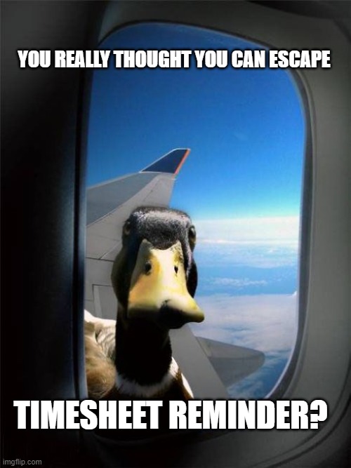 Timesheets | YOU REALLY THOUGHT YOU CAN ESCAPE; TIMESHEET REMINDER? | image tagged in let me in duck | made w/ Imgflip meme maker
