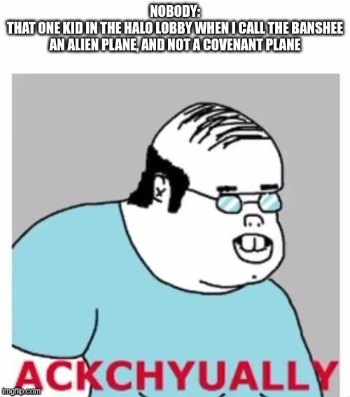 Ackchyually | NOBODY:
THAT ONE KID IN THE HALO LOBBY WHEN I CALL THE BANSHEE AN ALIEN PLANE, AND NOT A COVENANT PLANE | image tagged in ackchyually | made w/ Imgflip meme maker