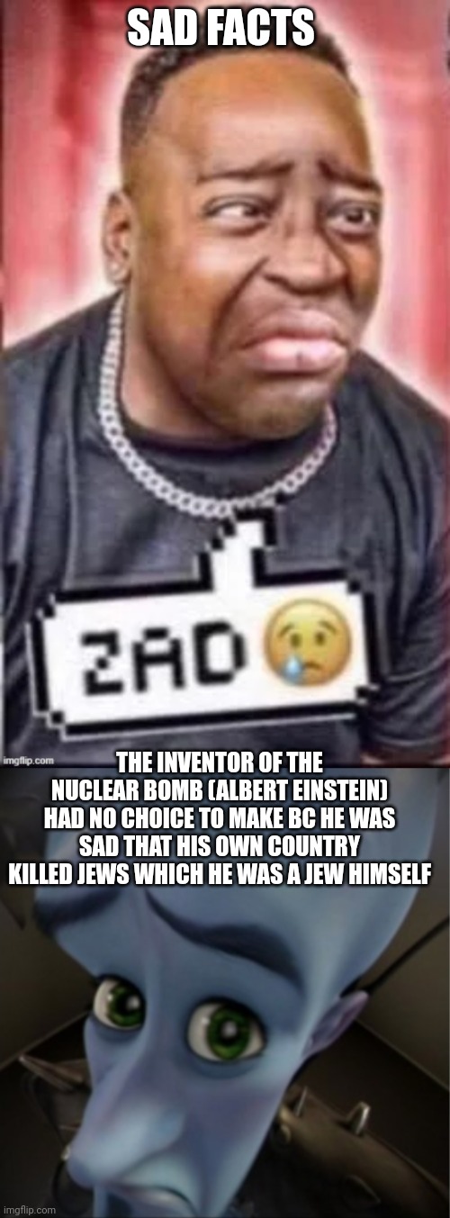 Ik sad | SAD FACTS; THE INVENTOR OF THE NUCLEAR BOMB (ALBERT EINSTEIN) HAD NO CHOICE TO MAKE BC HE WAS SAD THAT HIS OWN COUNTRY KILLED JEWS WHICH HE WAS A JEW HIMSELF | image tagged in zad,megamind peeking | made w/ Imgflip meme maker