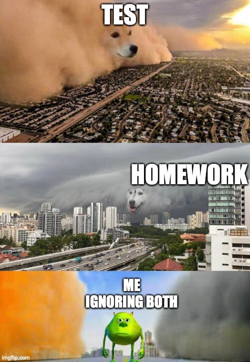 its a serious problem |  TEST; HOMEWORK; ME IGNORING BOTH | image tagged in dust doge storms and mikey caught in the middle,memes,funny,fun,school,middle school | made w/ Imgflip meme maker