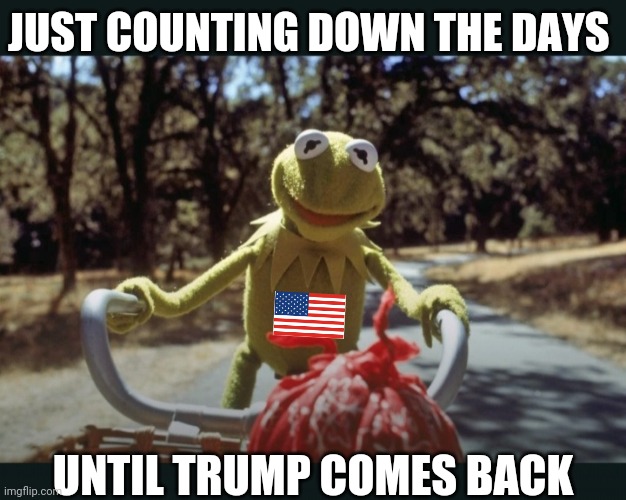 Trump 2024 Save America | JUST COUNTING DOWN THE DAYS; UNTIL TRUMP COMES BACK | image tagged in president trump,call of duty,all the times | made w/ Imgflip meme maker