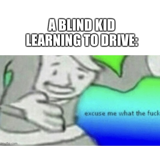 Excuse me wtf blank template | A BLIND KID LEARNING TO DRIVE: | image tagged in excuse me wtf blank template | made w/ Imgflip meme maker