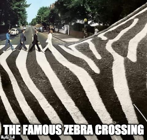 THE BEATLES | THE FAMOUS ZEBRA CROSSING | image tagged in zebra,crossing,abbey road,beatles,music | made w/ Imgflip meme maker