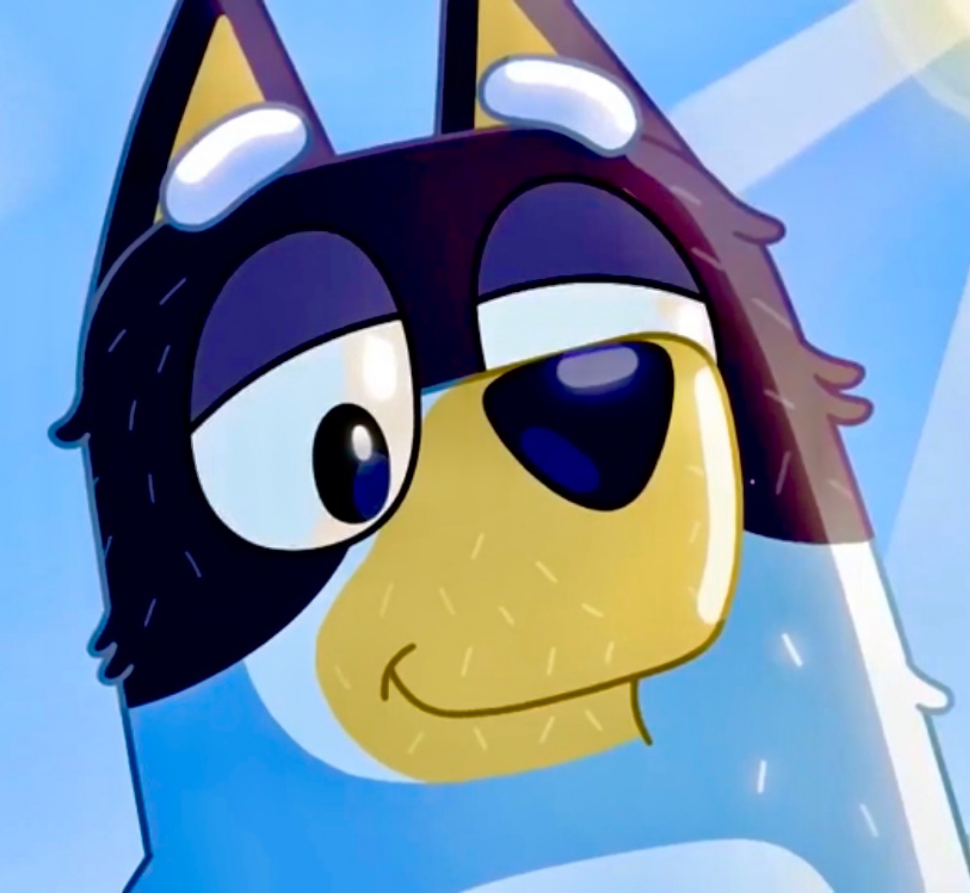 bandit sparkle eyes Blank Meme Template