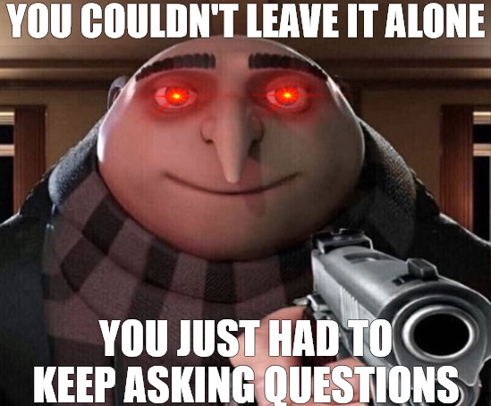 i gotta take you out | YOU COULDN'T LEAVE IT ALONE; YOU JUST HAD TO KEEP ASKING QUESTIONS | image tagged in gru gun | made w/ Imgflip meme maker