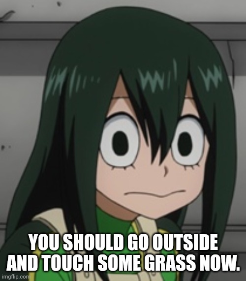 To the image below: | YOU SHOULD GO OUTSIDE AND TOUCH SOME GRASS NOW. | image tagged in bnha - tsuyu froppy asui,memes,touch grass | made w/ Imgflip meme maker