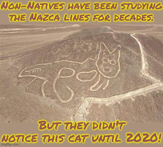Seriously, how do you miss something this big? | Non-Natives have been studying the Nazca lines for decades. But they didn't notice this cat until 2020! | image tagged in nazca cat,native american,history,it's that obvious | made w/ Imgflip meme maker