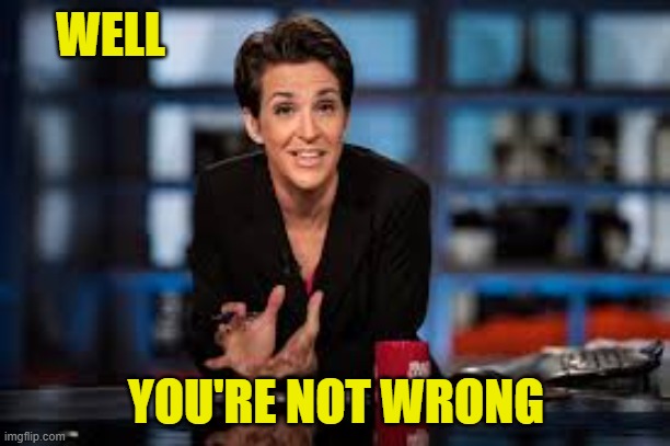 Rachel Maddow | WELL YOU'RE NOT WRONG | image tagged in rachel maddow | made w/ Imgflip meme maker