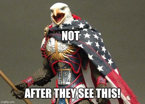 NOT AFTER THEY SEE THIS! | image tagged in patriotic defender eagle of america | made w/ Imgflip meme maker