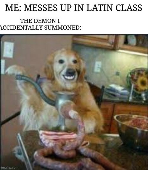 Lol ur mom | THE DEMON I ACCIDENTALLY SUMMONED:; ME: MESSES UP IN LATIN CLASS | image tagged in meat dog | made w/ Imgflip meme maker
