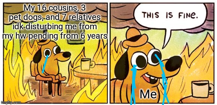 Those stupid relatives | My 16 cousins, 3 pet dogs, and 7 relatives idk disturbing me from my hw pending from 6 years; Me | image tagged in memes,this is fine | made w/ Imgflip meme maker