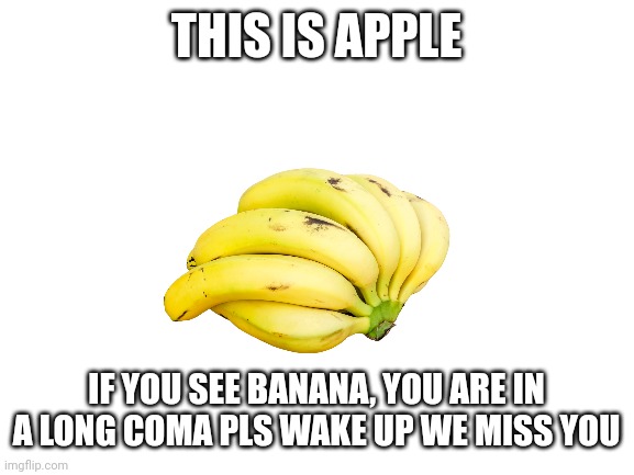 Blank White Template | THIS IS APPLE; IF YOU SEE BANANA, YOU ARE IN A LONG COMA PLS WAKE UP WE MISS YOU | image tagged in blank white template,banana,memes,apple | made w/ Imgflip meme maker