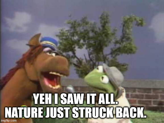 kermit report | YEH I SAW IT ALL. NATURE JUST STRUCK BACK. | image tagged in kermit report | made w/ Imgflip meme maker