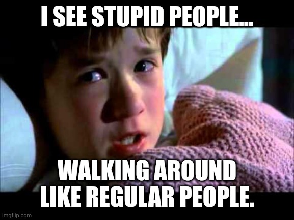 I see dead people | I SEE STUPID PEOPLE... WALKING AROUND LIKE REGULAR PEOPLE. | image tagged in i see dead people | made w/ Imgflip meme maker