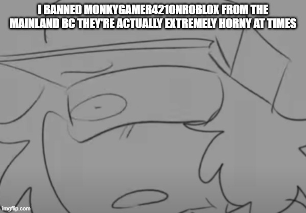 if that's ok | I BANNED MONKYGAMER421ONROBLOX FROM THE MAINLAND BC THEY'RE ACTUALLY EXTREMELY HORNY AT TIMES | image tagged in garcello has seen some sh t | made w/ Imgflip meme maker