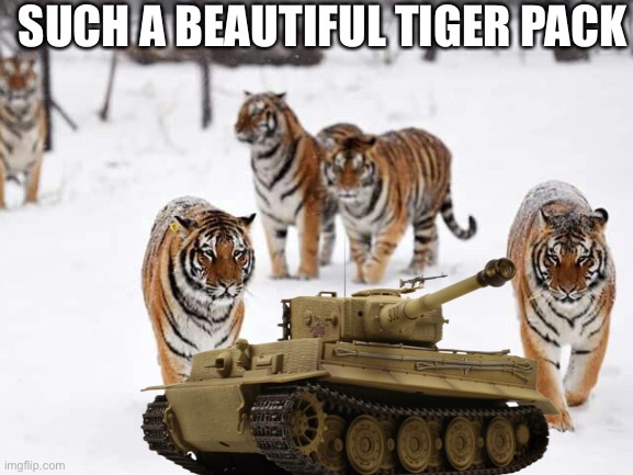 SUCH A BEAUTIFUL TIGER PACK | image tagged in tiger 1,ww2,tiger | made w/ Imgflip meme maker