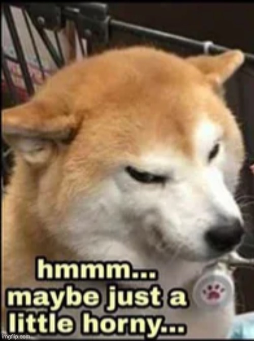 just a little | image tagged in horny | made w/ Imgflip meme maker