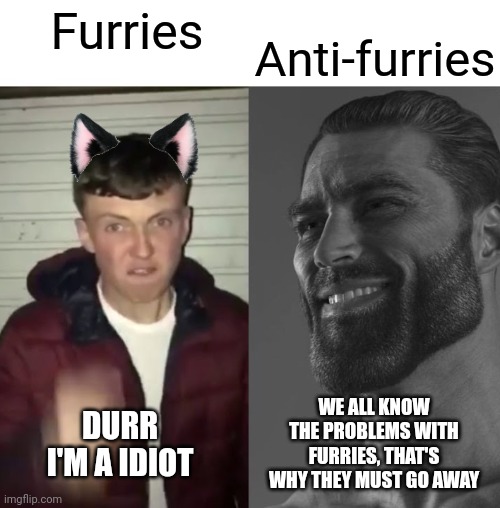 Yes | Anti-furries; Furries; DURR I'M A IDIOT; WE ALL KNOW THE PROBLEMS WITH FURRIES, THAT'S WHY THEY MUST GO AWAY | image tagged in average fan vs average enjoyer | made w/ Imgflip meme maker