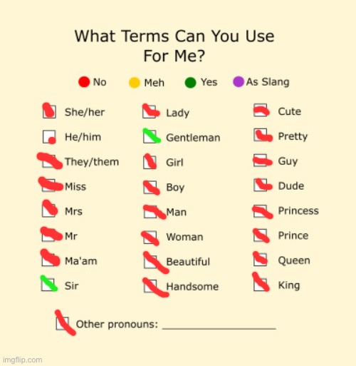 sir shady | image tagged in pronouns sheet | made w/ Imgflip meme maker