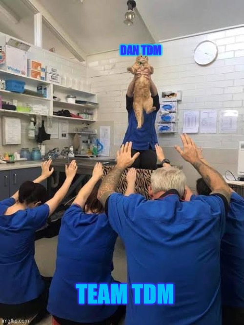 High Quality Team tdm worshiping dan tdm as a cat Blank Meme Template