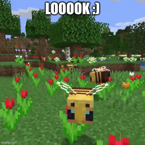 Minecraft bees | LOOOOK :) | image tagged in minecraft bees | made w/ Imgflip meme maker